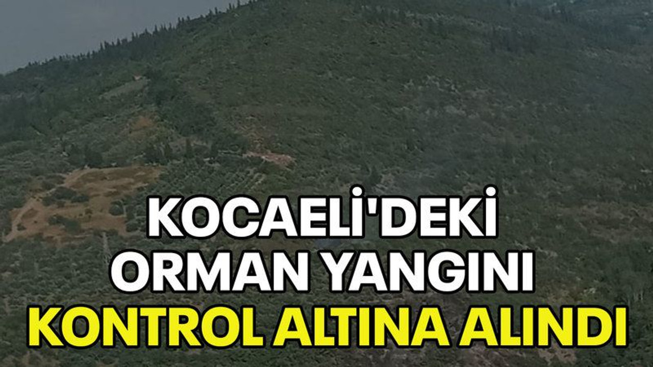 Kocaeli'deki orman yangını kontrol altına alındı